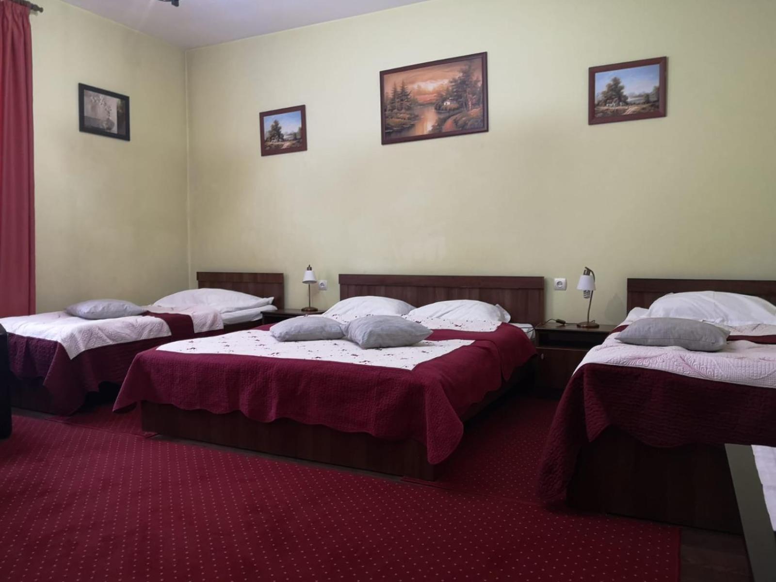 Villa Casa Ioana บราชอฟ ห้อง รูปภาพ