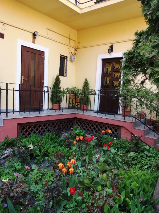 Villa Casa Ioana บราชอฟ ภายนอก รูปภาพ